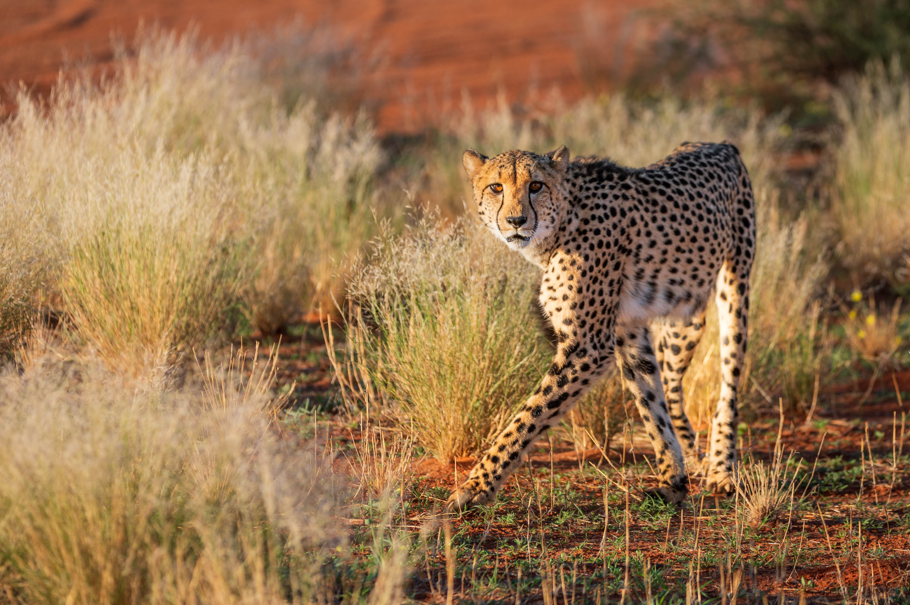 Afrika Reisefotografie 125