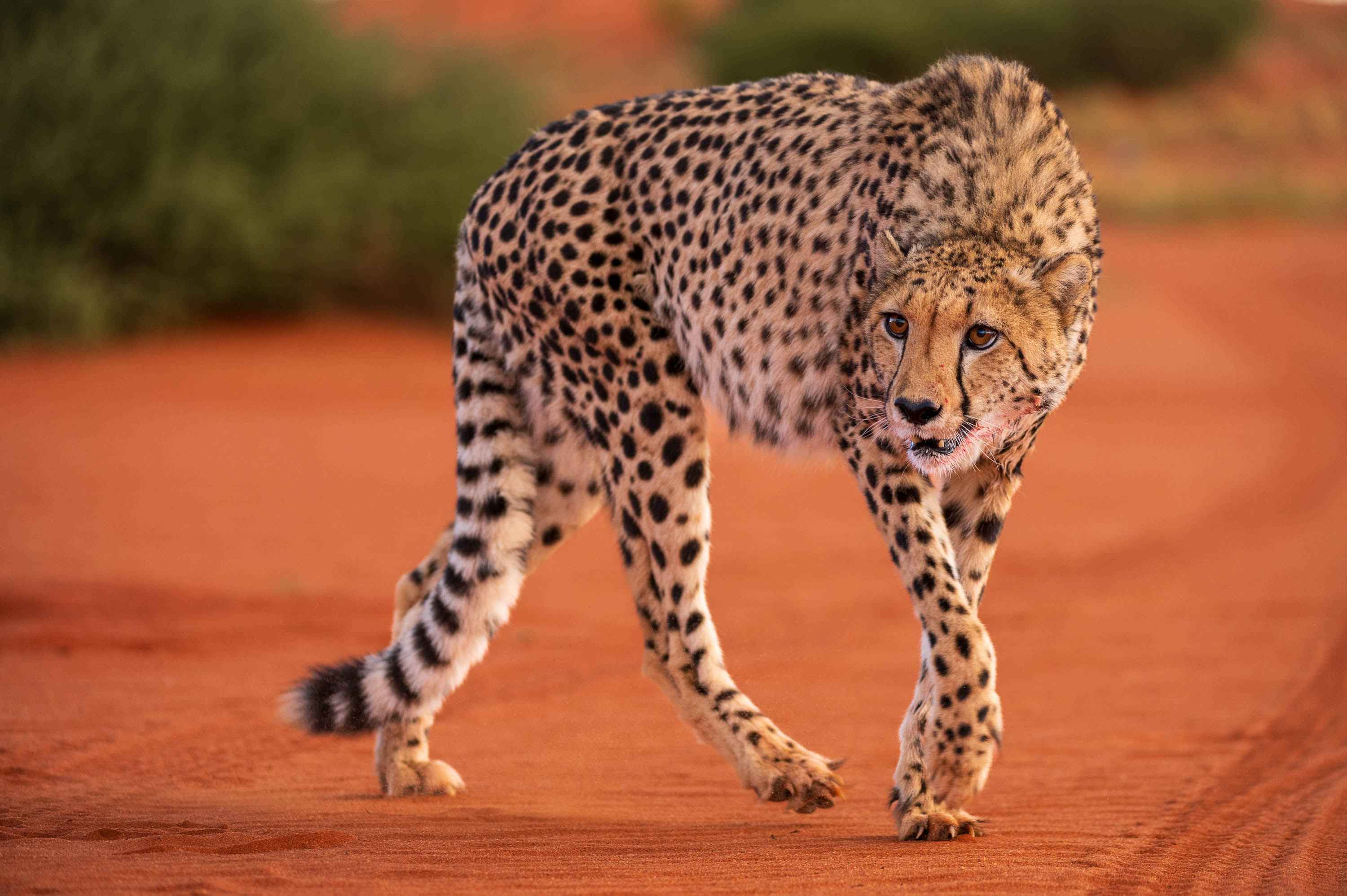 Afrika Reisefotografie 127