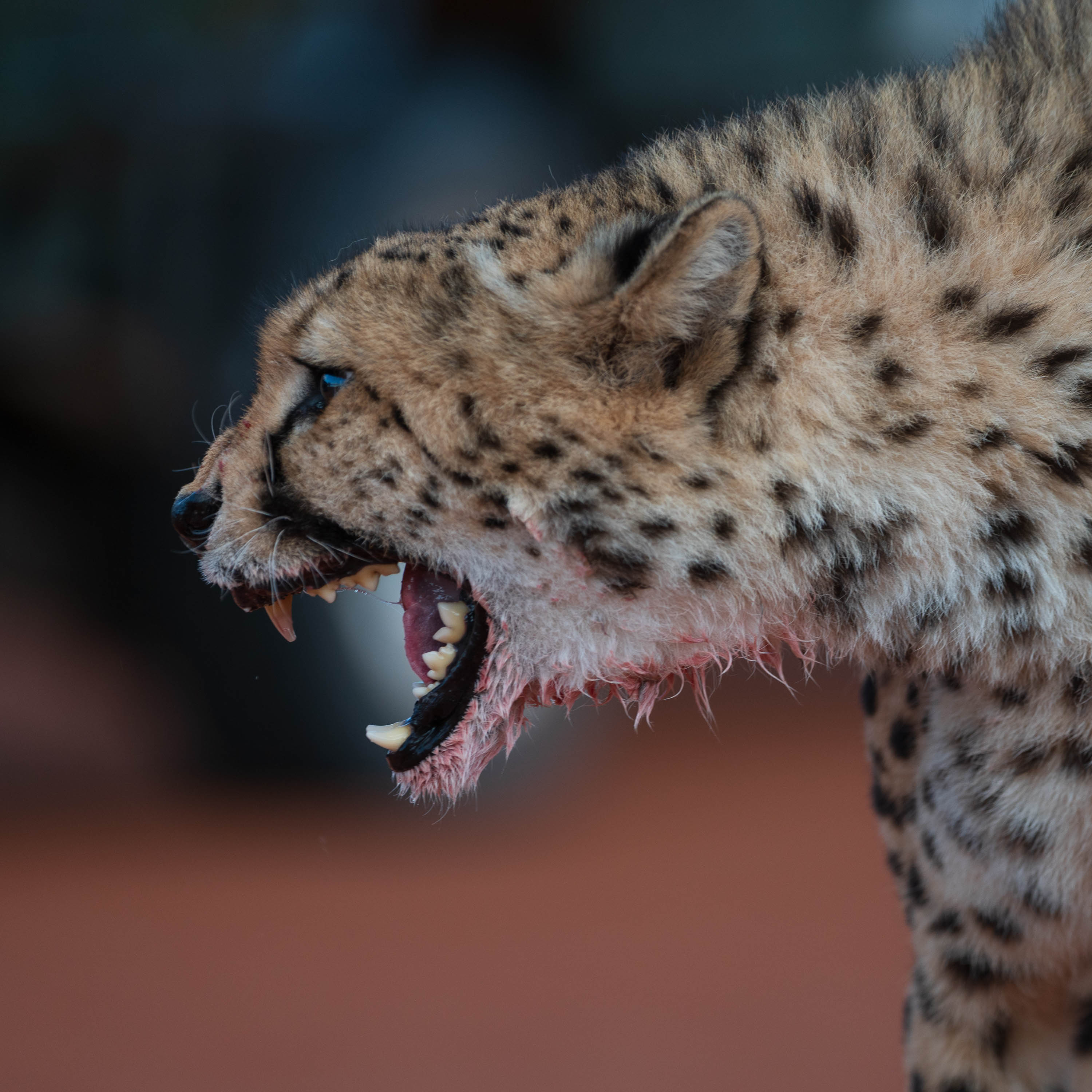 Afrika Reisefotografie 128