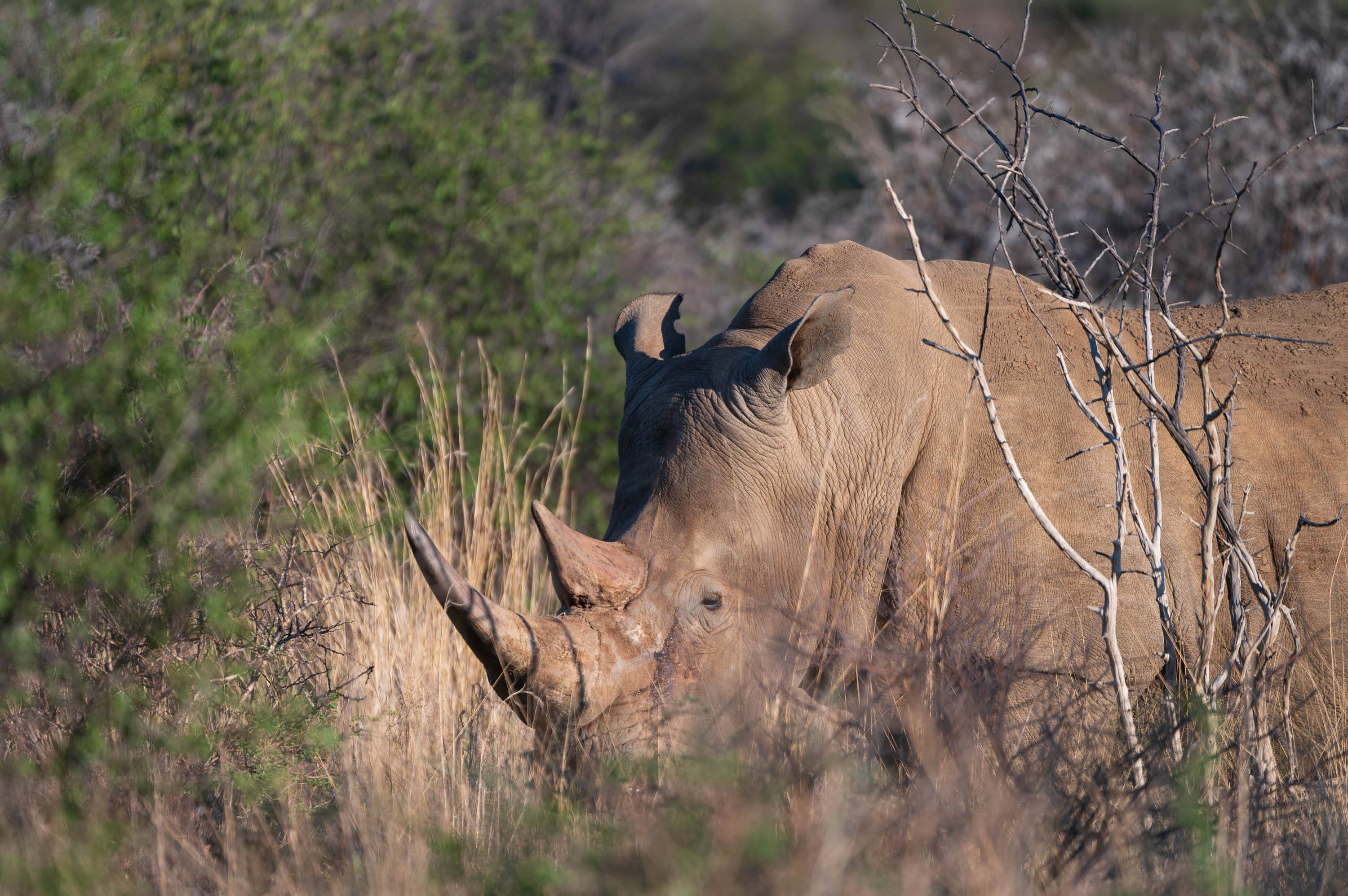 Afrika Reisefotografie 17