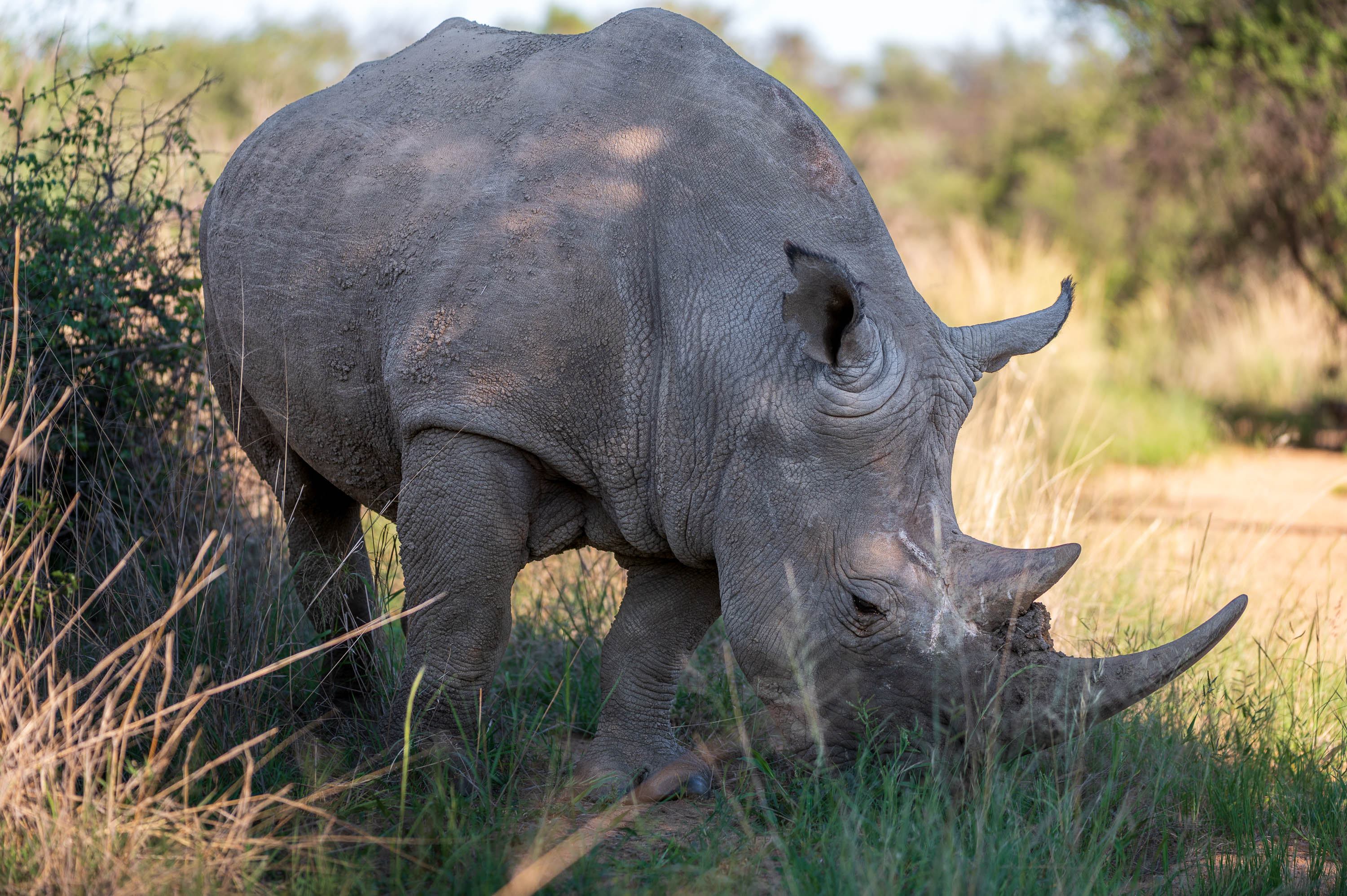 Afrika Reisefotografie 21