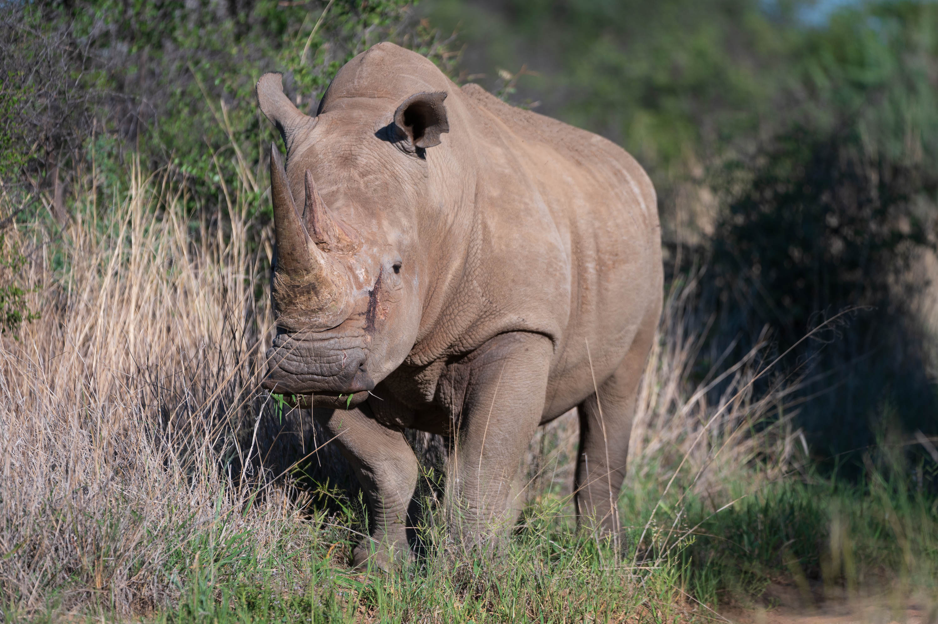 Afrika Reisefotografie 26