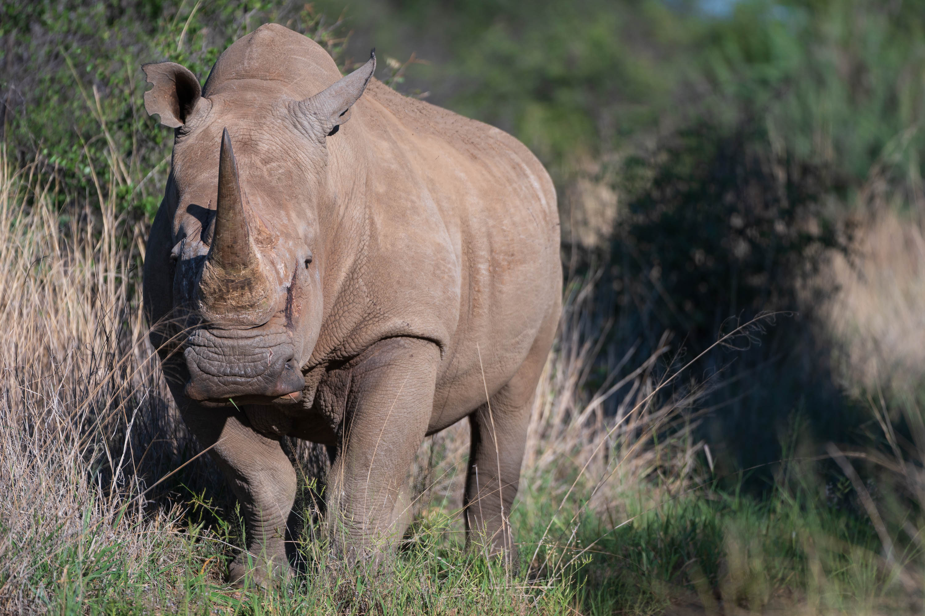 Afrika Reisefotografie 27
