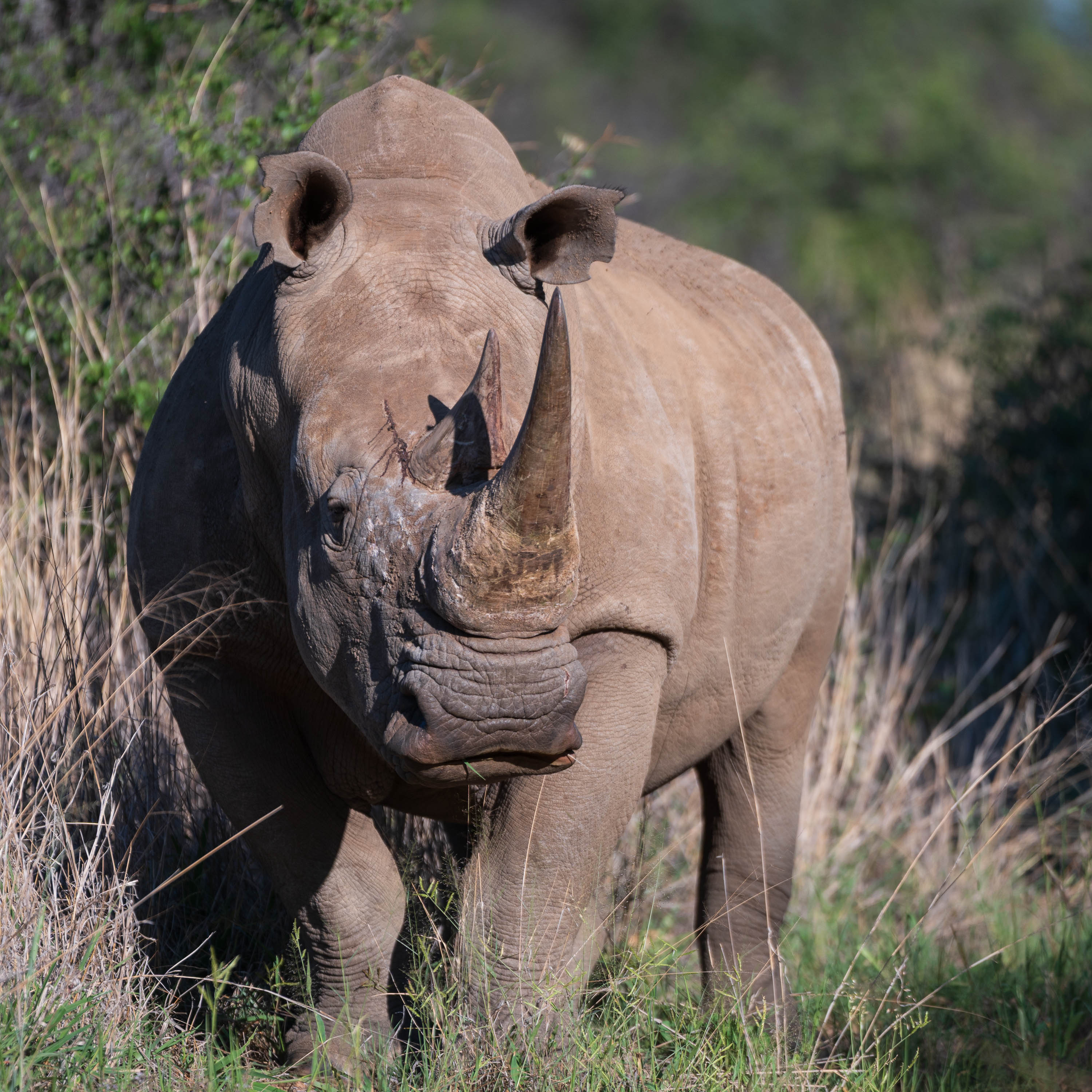 Afrika Reisefotografie 28
