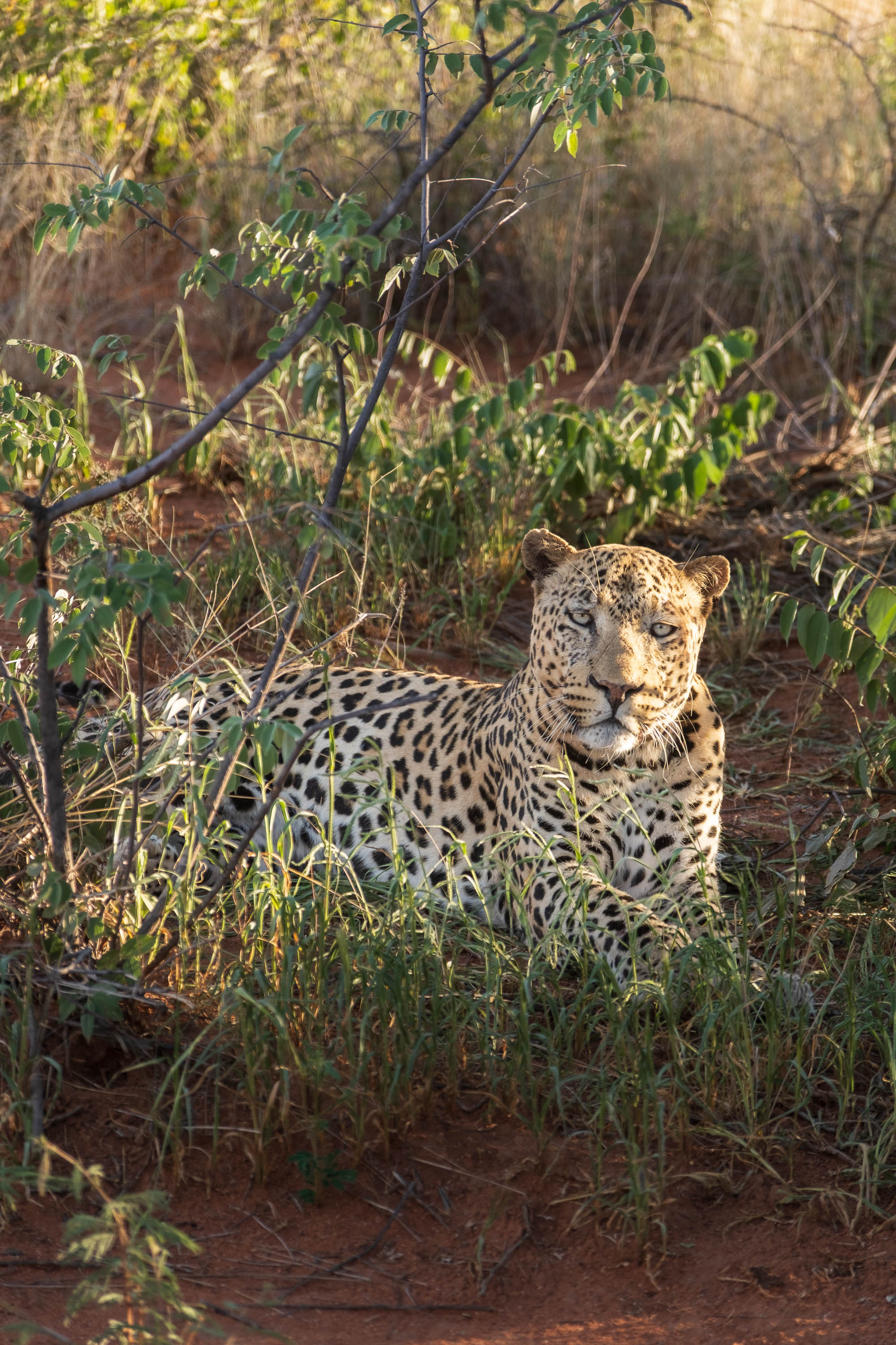 Afrika Reisefotografie 34