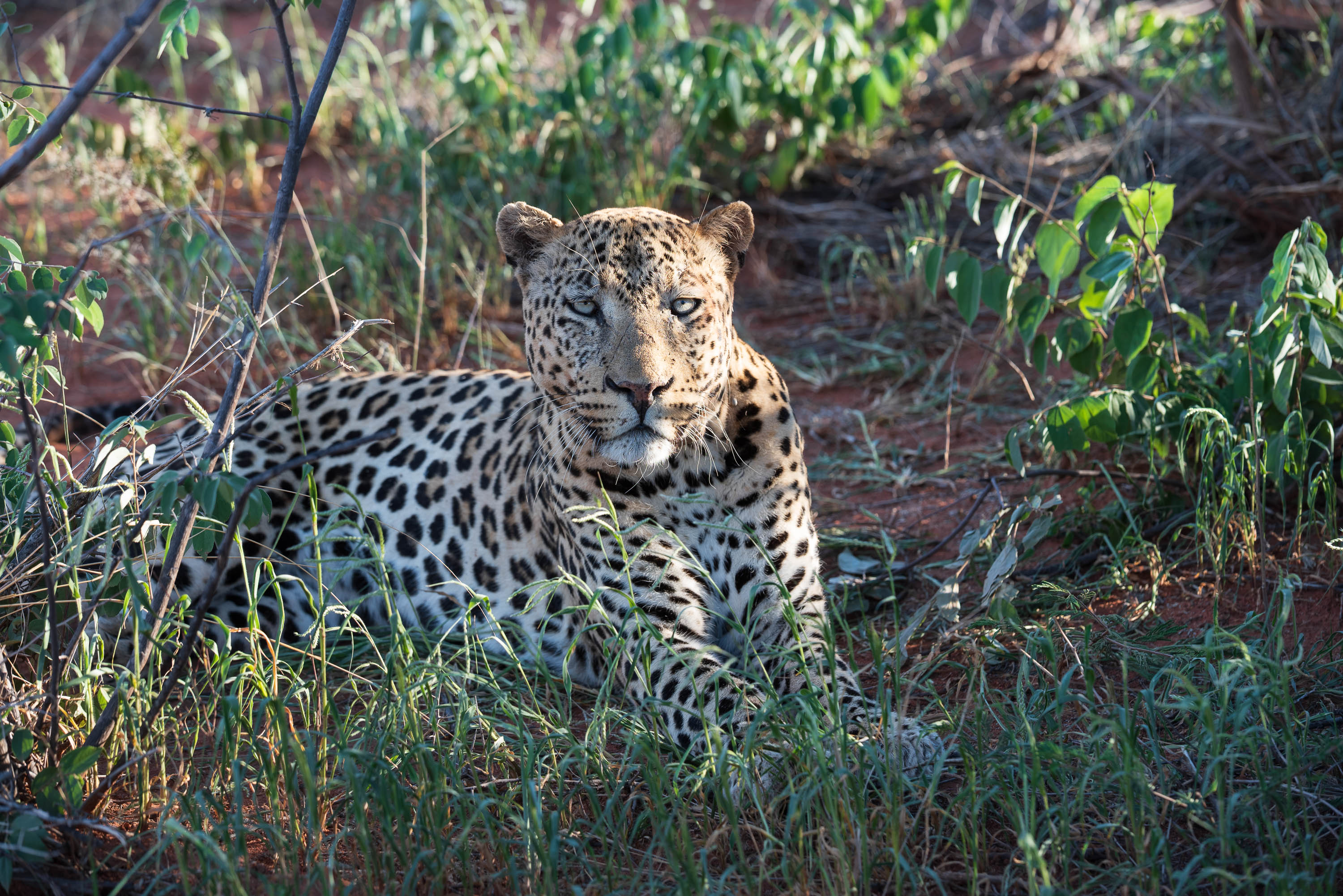 Afrika Reisefotografie 35