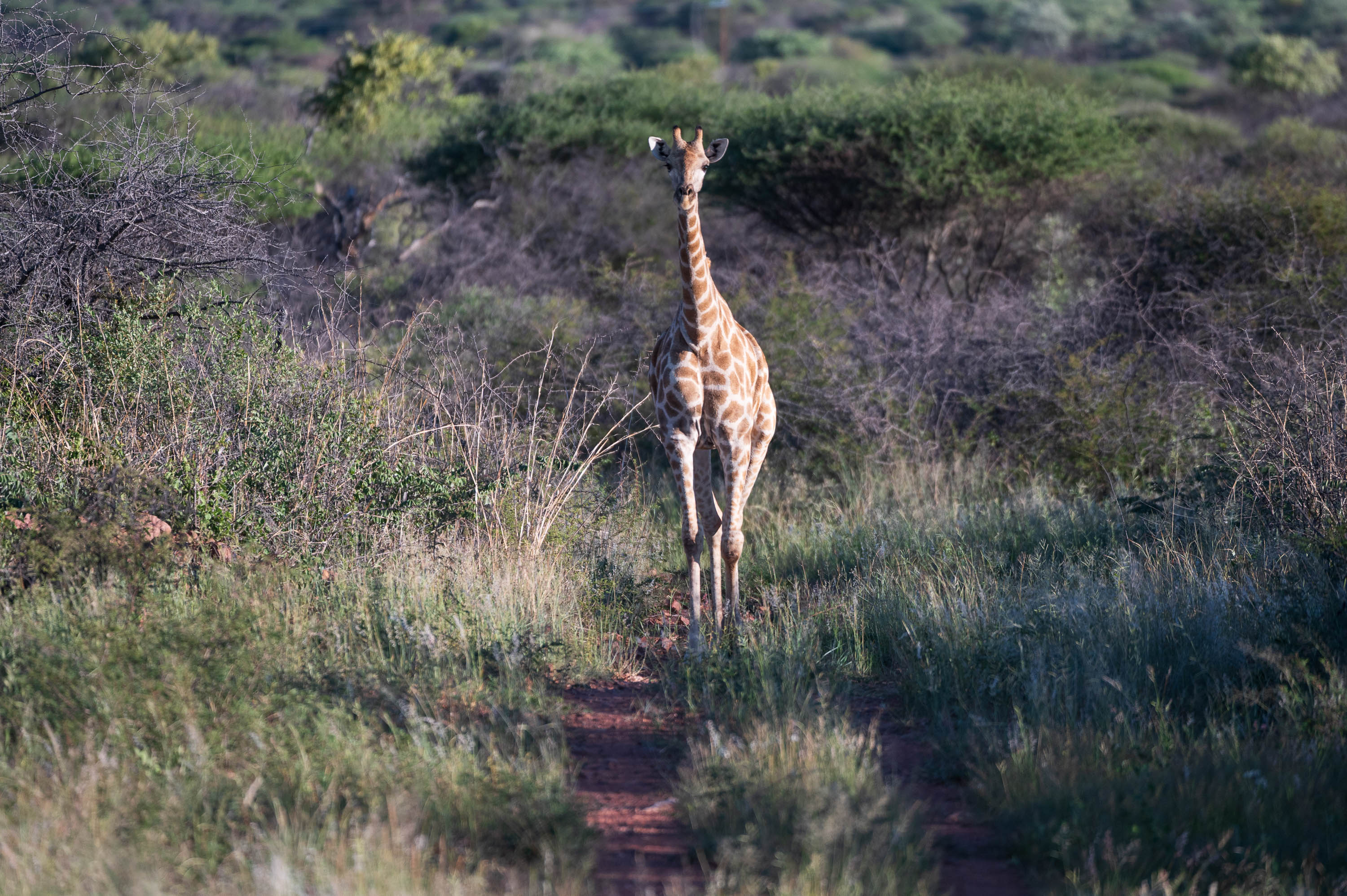 Afrika Reisefotografie 37