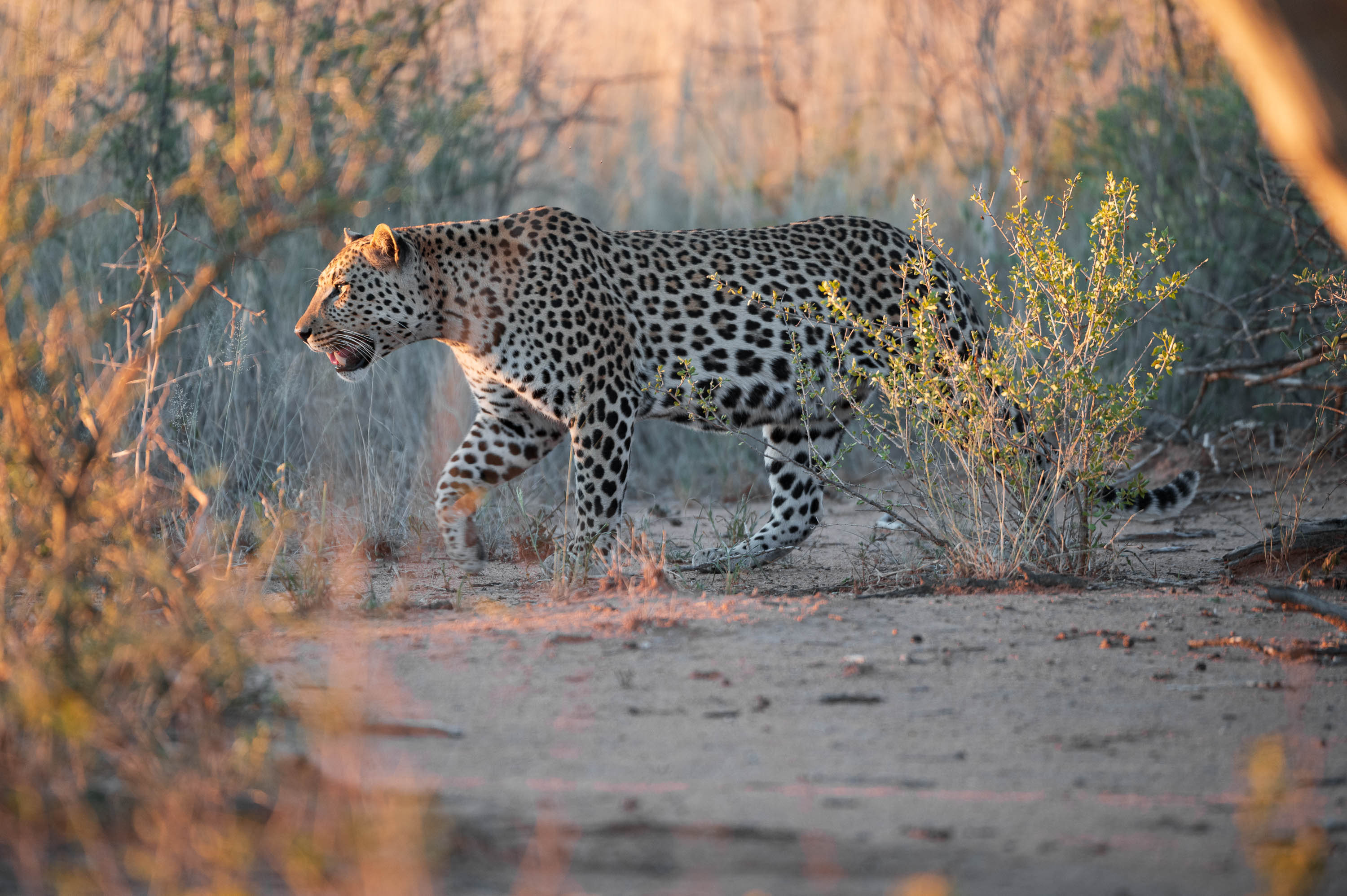 Afrika Reisefotografie 42