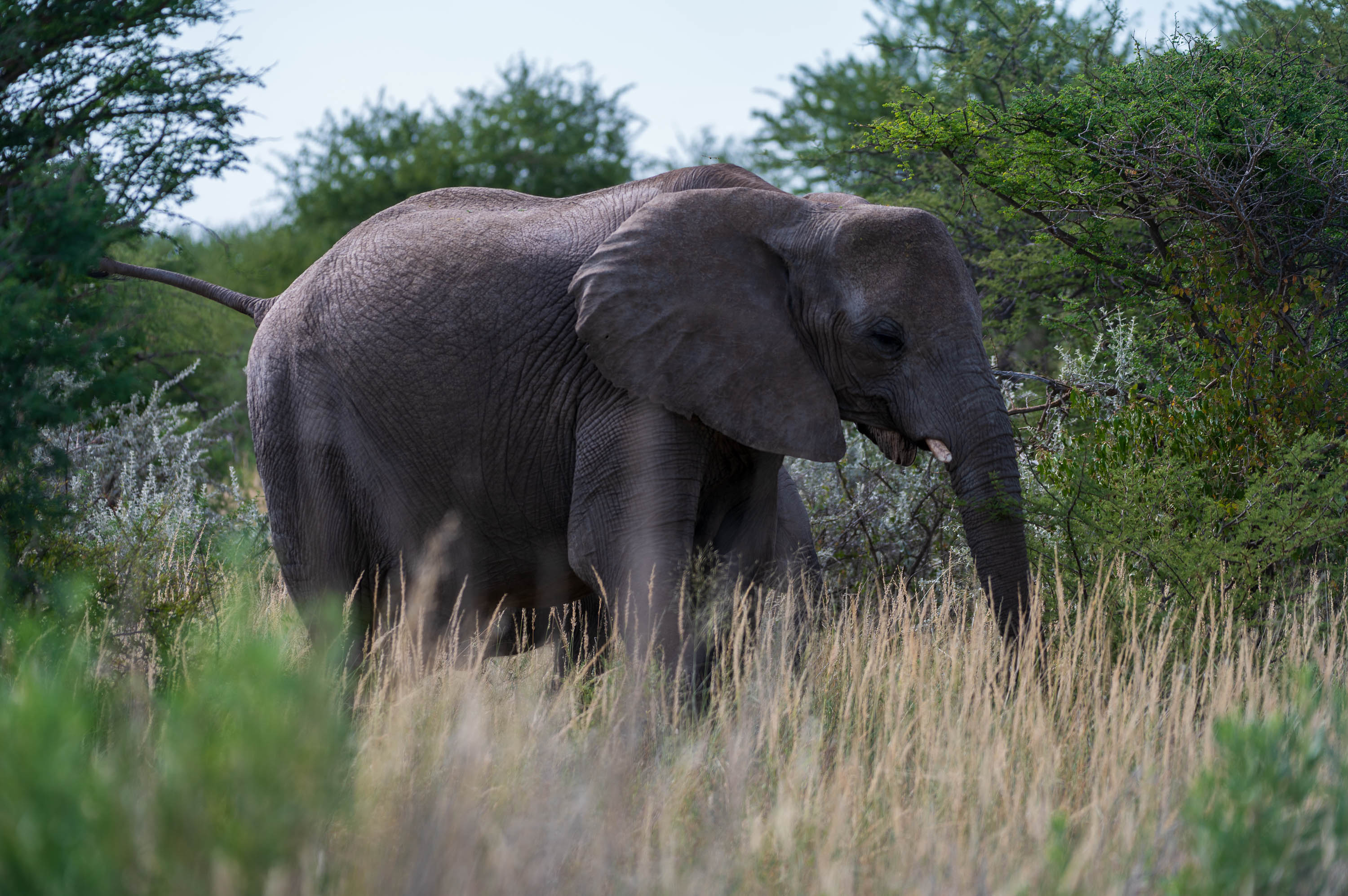 Afrika Reisefotografie 51