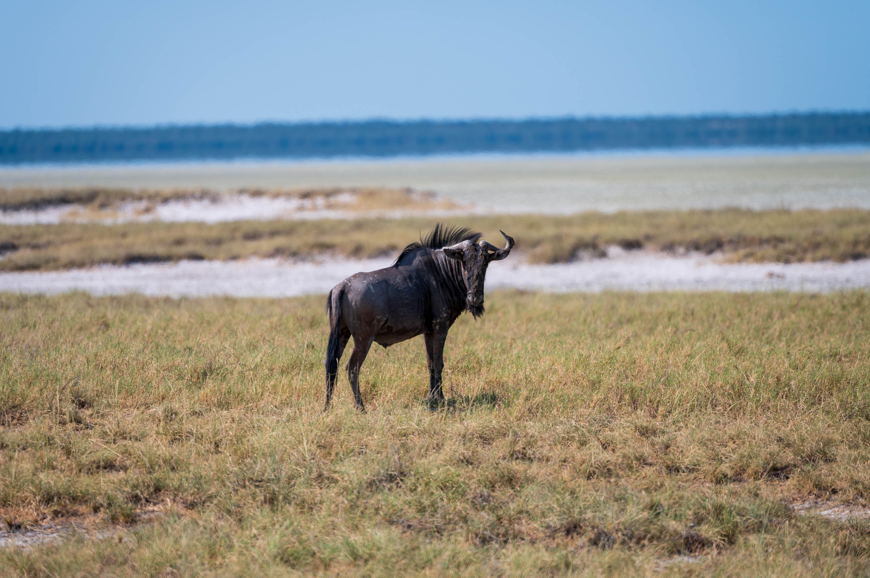 Afrika Reisefotografie 52