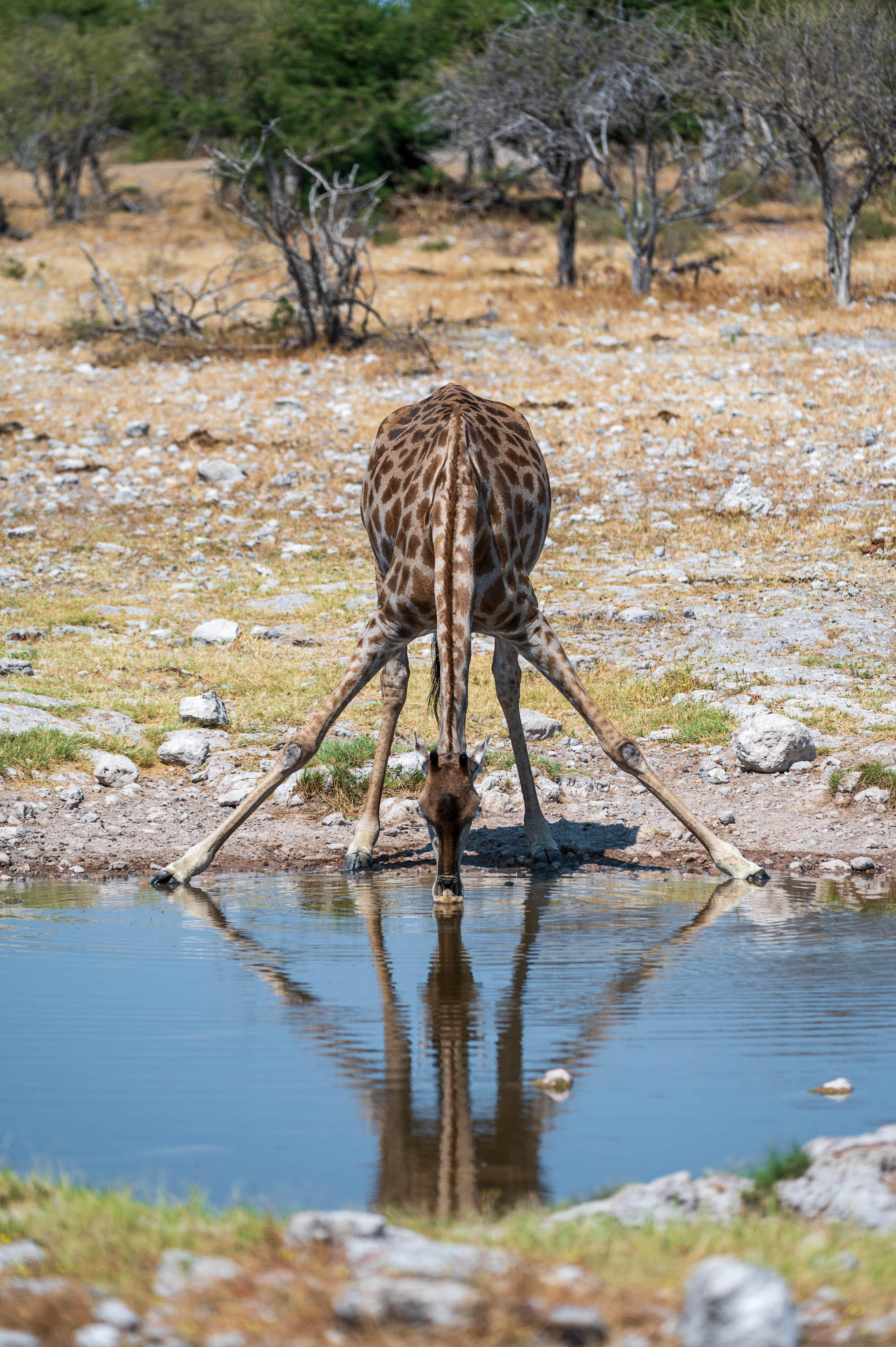Afrika Reisefotografie 54