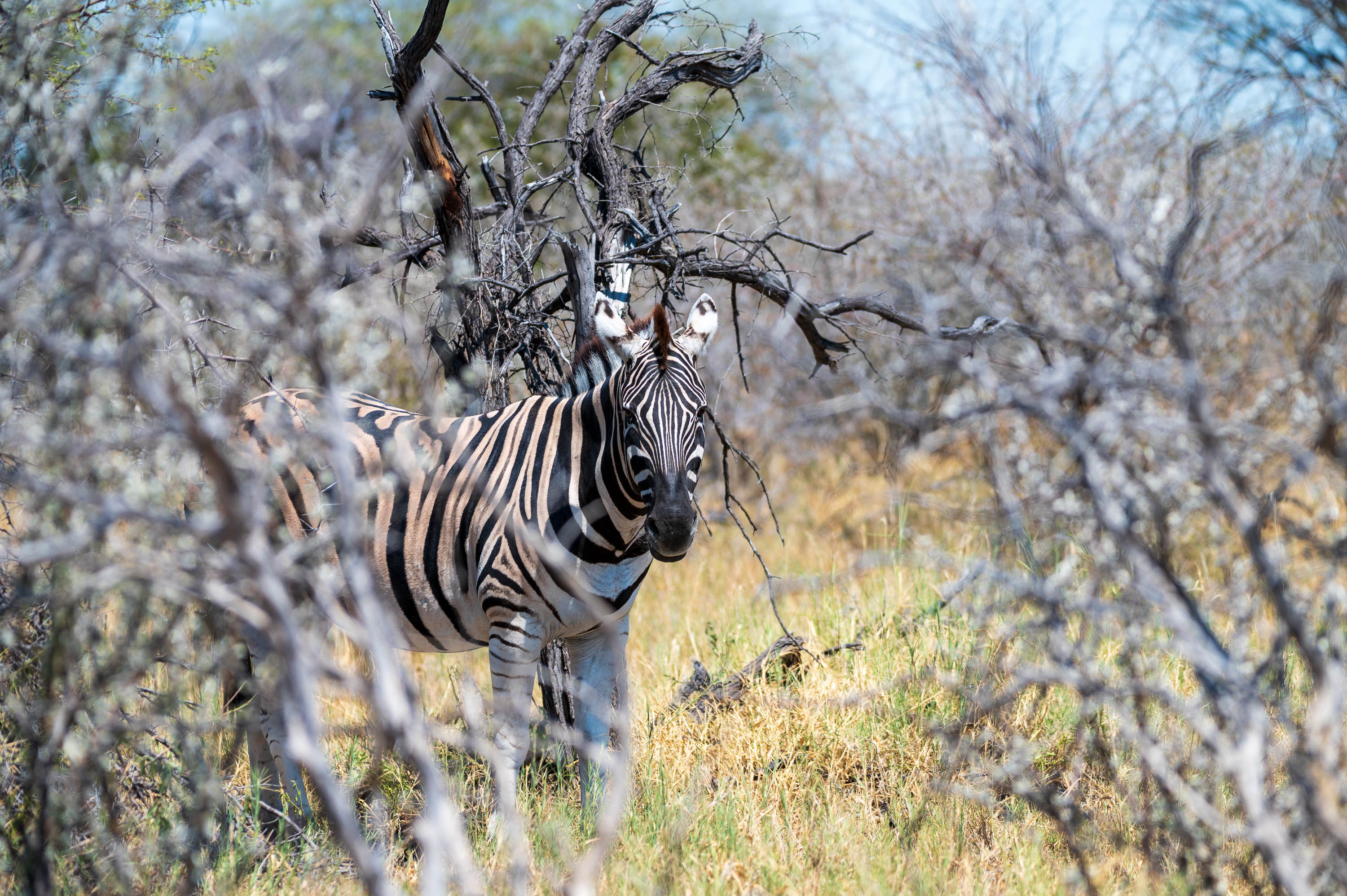 Afrika Reisefotografie 55