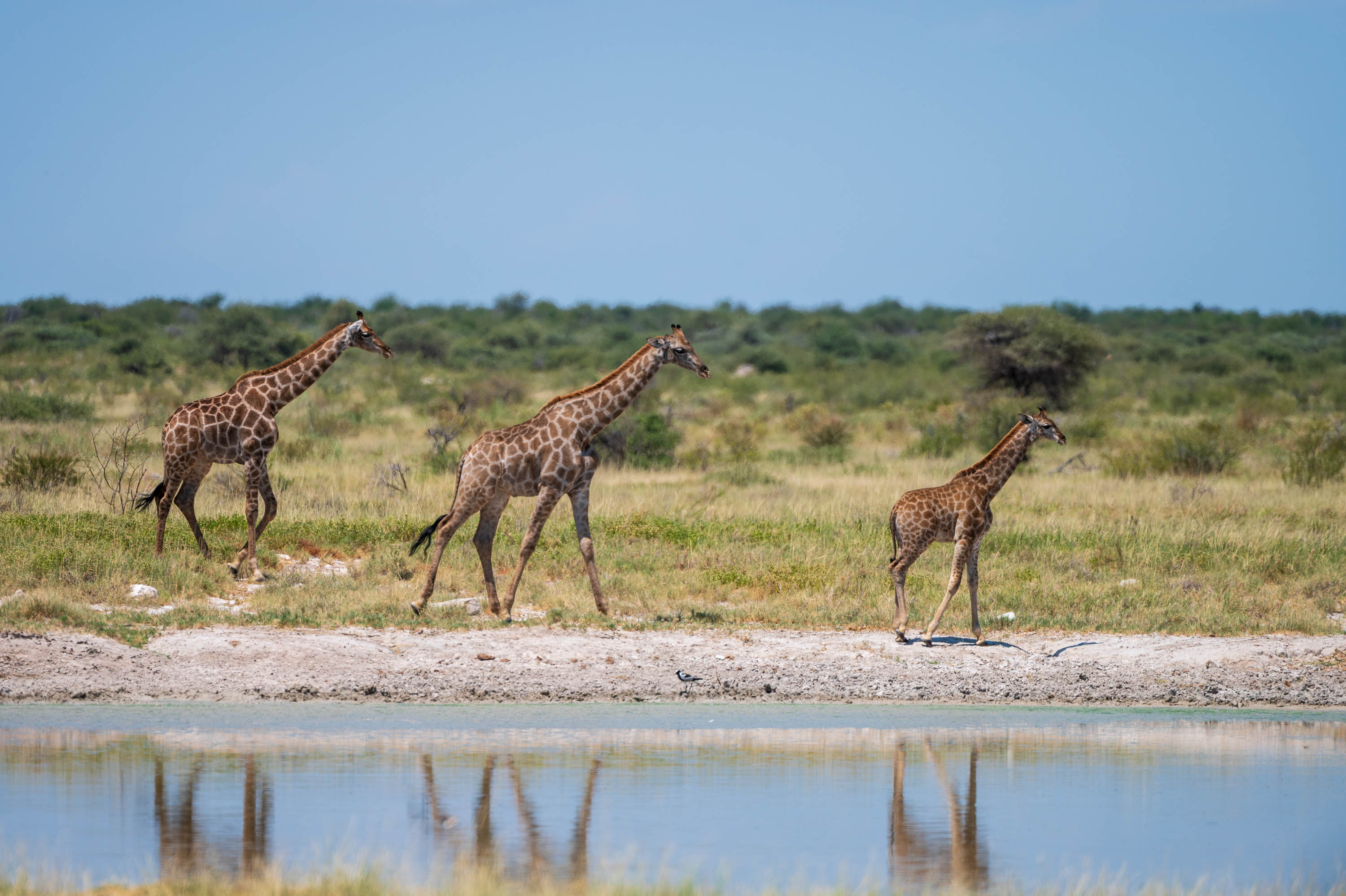Afrika Reisefotografie 56