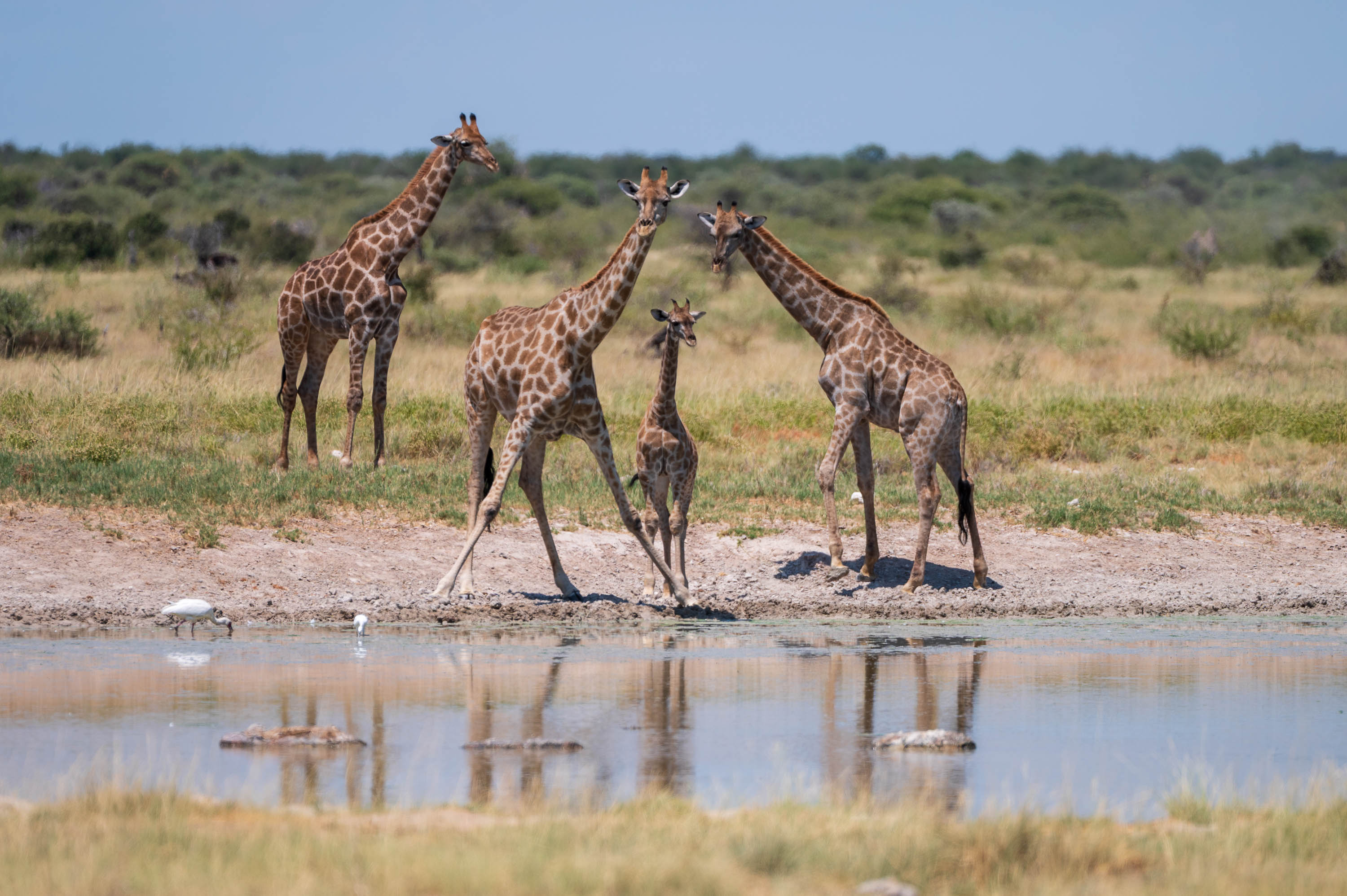 Afrika Reisefotografie 57