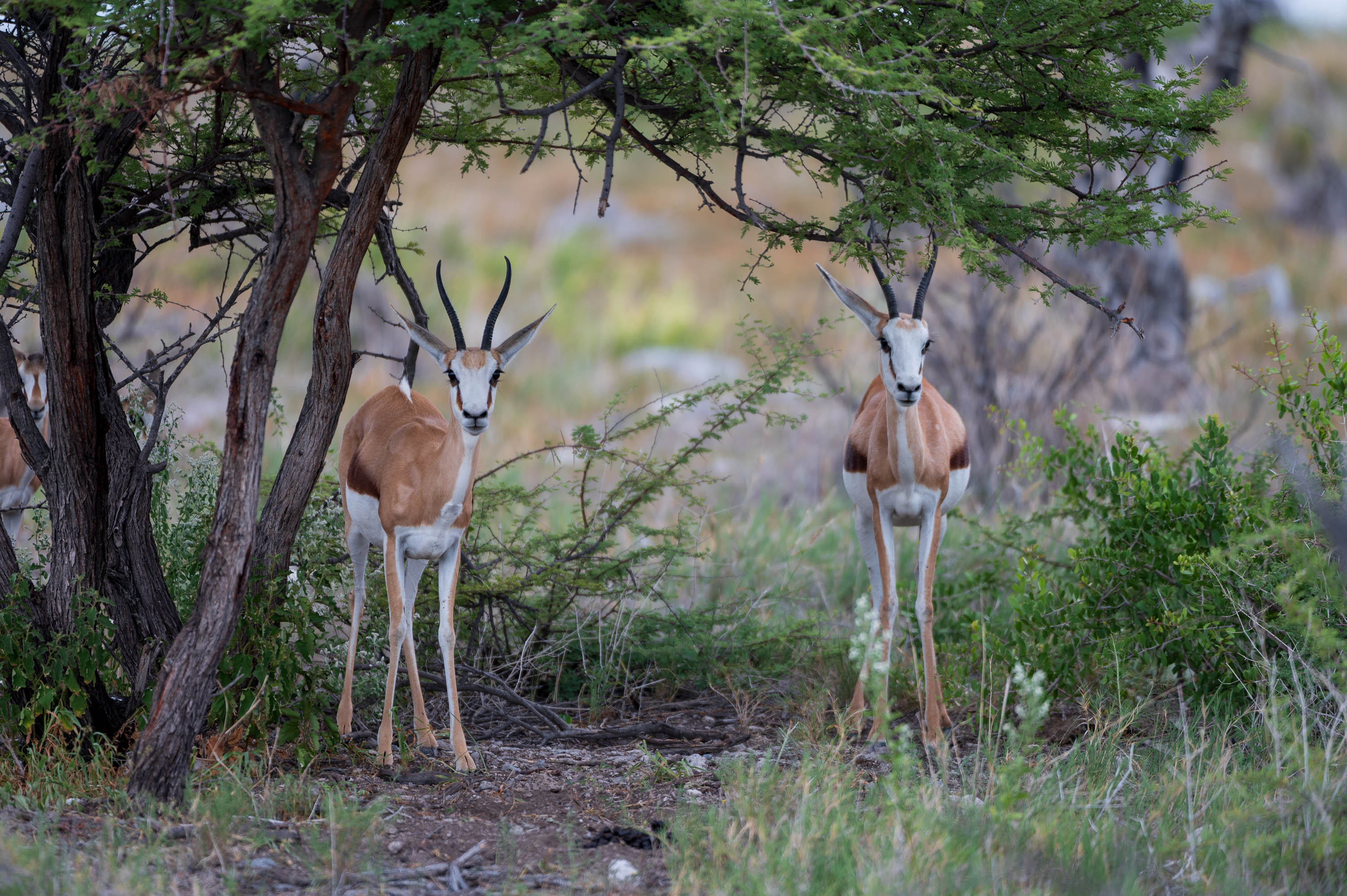 Afrika Reisefotografie 61