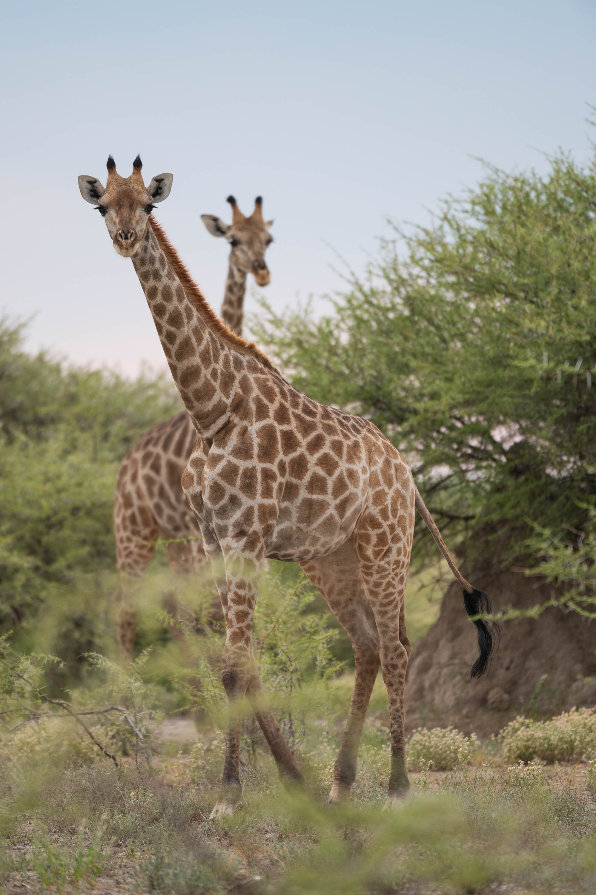 Afrika Reisefotografie 71