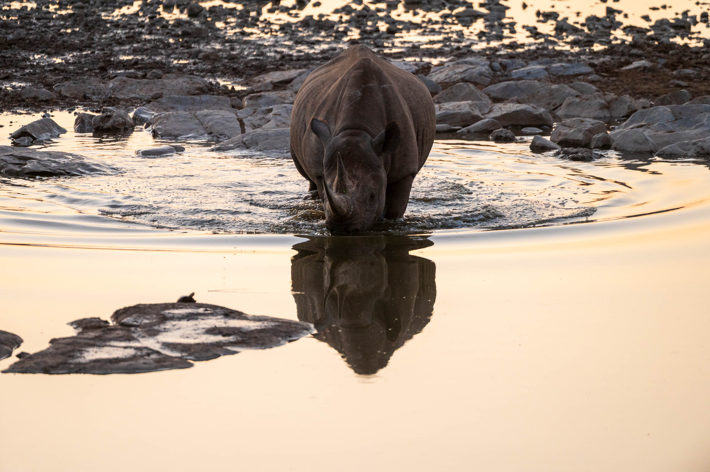 Afrika Reisefotografie 79