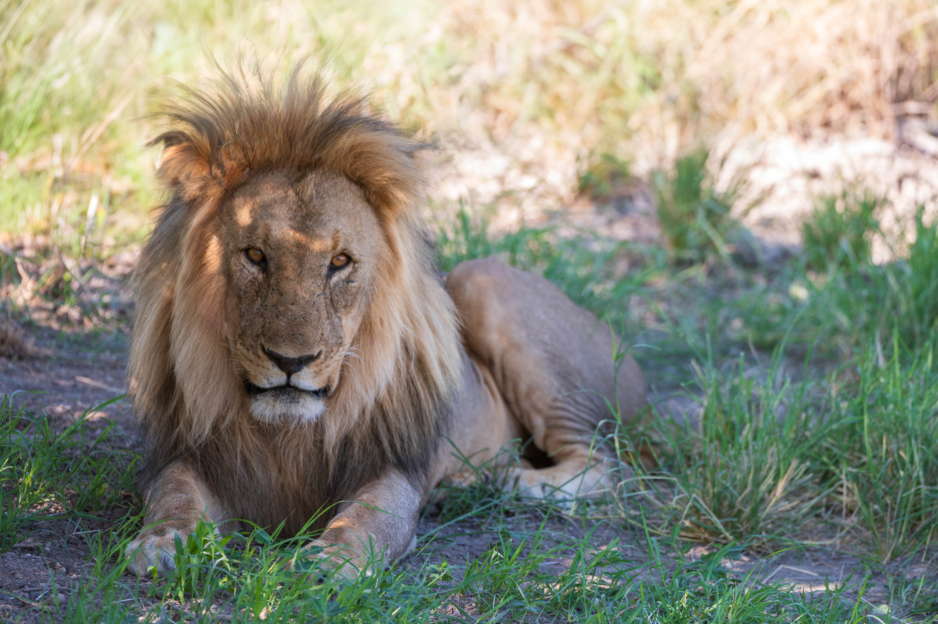 Afrika Reisefotografie 81