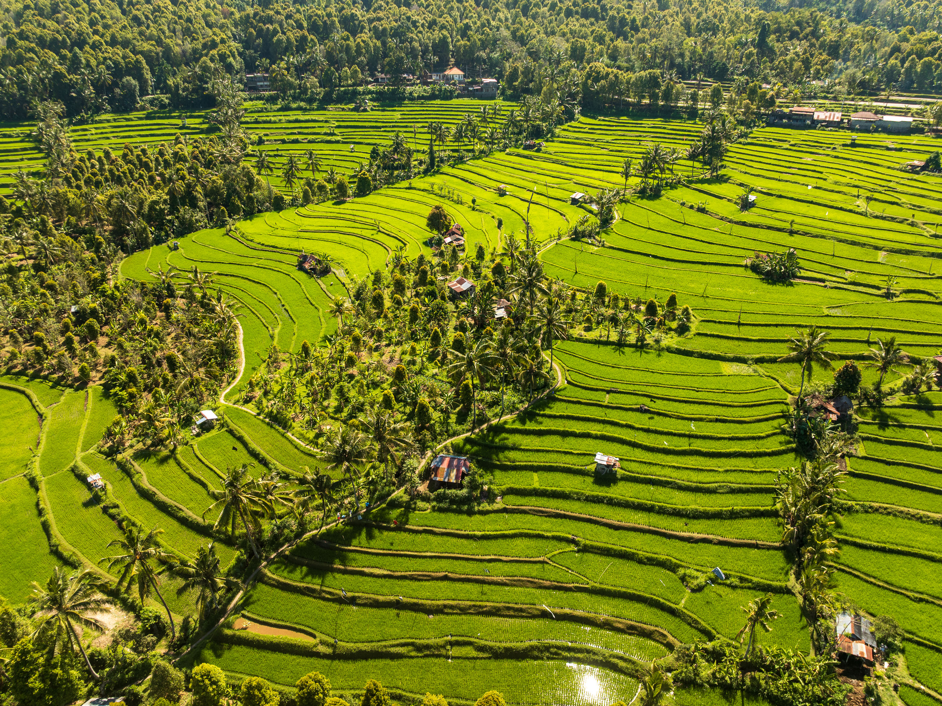 Asien Reisefotografie 34