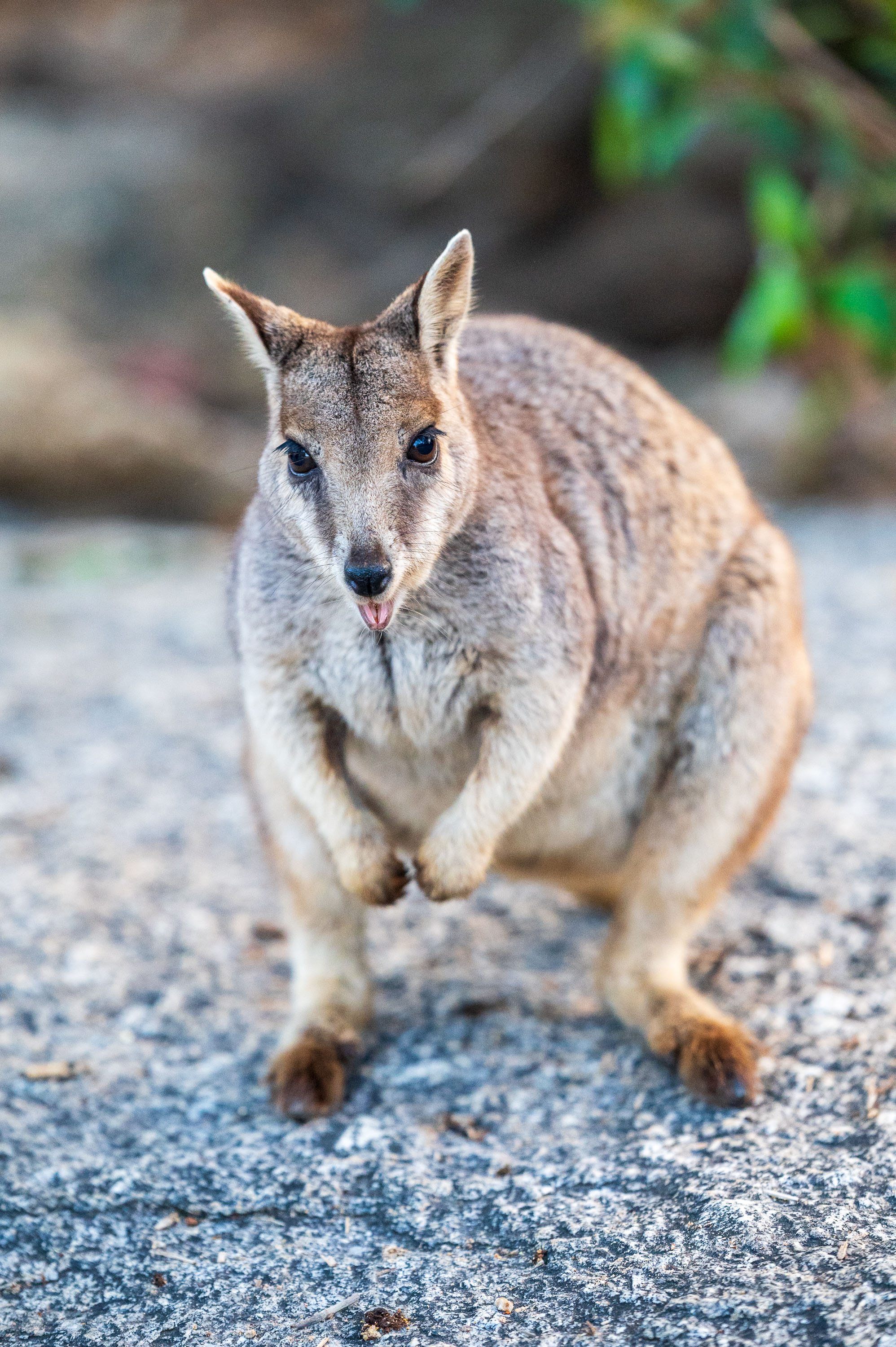 Ozeanien Reisefotografie 22