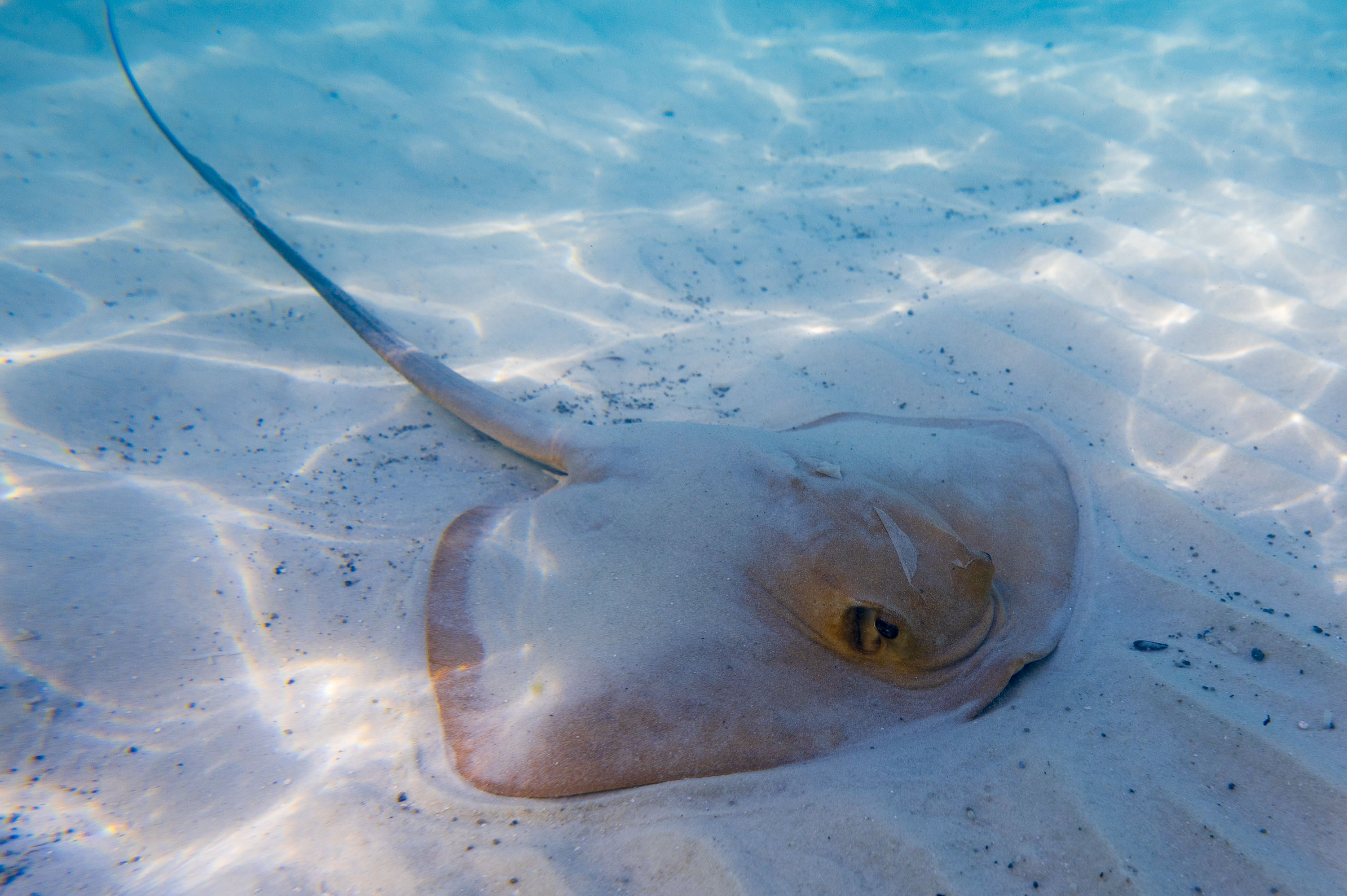 Ozeanien Reisefotografie 30